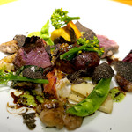 ドディチ・マッジョ - 