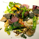 ドディチ・マッジョ - 