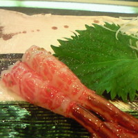 鮨 難波 - キジエビ