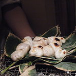 くろぎ - ２０１１年新年