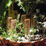 くろぎ - ２０１１年新年