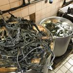 一条流がんこ総本家分家四谷荒木町 - 