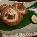 伊酒や 春木屋 - しいたけ焼き300円