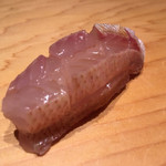 鮨 一幸 - カスゴ