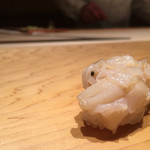 鮨 一幸 - ほたて