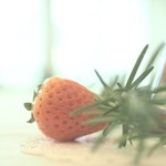 メゾン エルミタージュ - 【イチゴフェア】イチゴでフルコースランチ