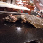 斗々屋 - ◆スッポンを再現してくれる大将