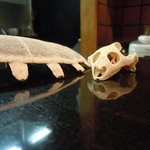 斗々屋 - ◆初めてお目にかかる骨。