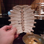 斗々屋 - ◆スッポンのがい骨だぁ～
