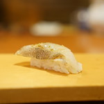 こい勢 - アイナメ