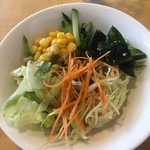 冷え冷えのサラダ ドレは3種類