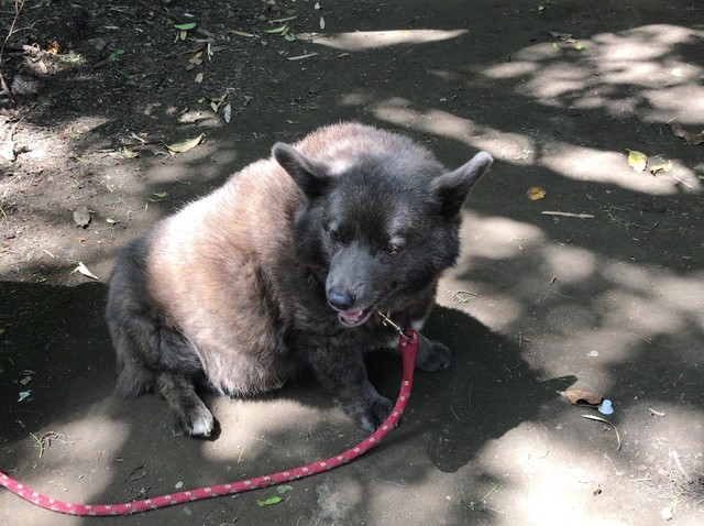 埼玉 東京gw旅 Vol 17 つれて逃げてよ 矢切の渡し を渡るとそこは千葉県だったぁ By Kinako Anko 矢切の渡し 新柴又 その他 食べログ