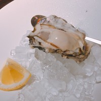 KAZAN - キャッツアイオイスター