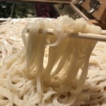 稲庭うどんとめし 金子半之助 - 麺1