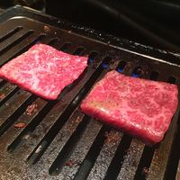 うしごろ 貫 恵比寿本店 - 