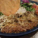 スパイスカレー モクロミ - 挽肉