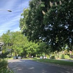 Seven Coffee Roasters Market & Cafe - 住宅地の真ん中の坂道にあるお店