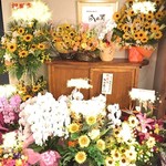 神楽坂 鉄板焼 向日葵 - 