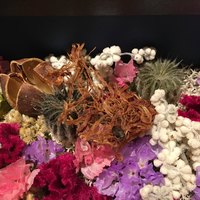 レストランエール - もやし