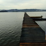 海鮮城　Ocean City Seafood Restaurant - 