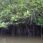 海鮮城　Ocean City Seafood Restaurant - 