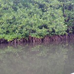 海鮮城　Ocean City Seafood Restaurant - 