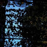 El Cerdo Restaurant - 