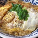 南部家敷 - カツ丼