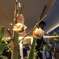 THE HIRAMATSU HOTELS&RESORTS 仙石原 - 