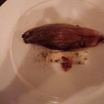 il tram - チコリとゴルゴンゾーラ、