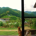 杉の家 - お食事処から見た窓の外。ワンコ2匹がかわゆす