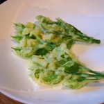 杉の家 - ウドの葉っぱ