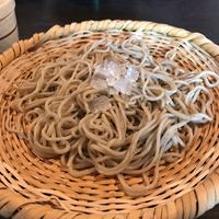 ヒカリヤ ヒガシ - 