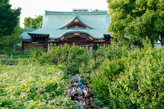 中国酒家 大三元 - 亀戸神社