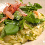 オステリア セーザモ - 桜エビとアオサ海苔、フェンネル、クレソンのリゾーニ