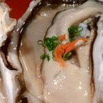 桜川 - 雪解け牡蠣。　　　身の白い部分が濃厚な味♬
