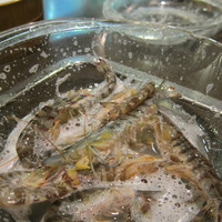 割烹 川田 - 