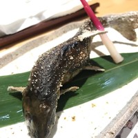 柳家錦 - 