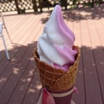 京成バラ園 ローズショップ - 暑くて直ぐに溶けだしました…