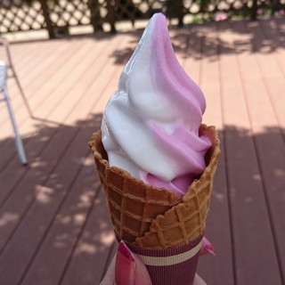 京成バラ園周辺でおすすめのグルメ情報をご紹介 食べログ