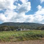 須崎食料品店 - のどかなところにあります