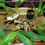 比良山荘 - 11.7.6　一回目の鮎塩焼き