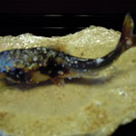 比良山荘 - 11.7.6