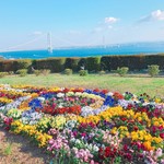 須崎食料品店 - 花が綺麗でした