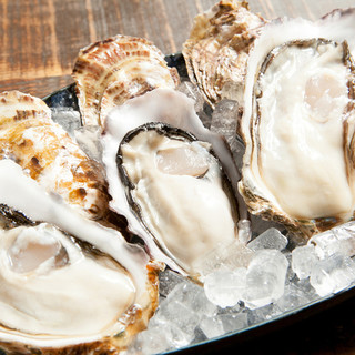 Assortment of 5 types of raw Oyster