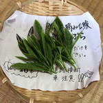 かぶせ茶カフェ - 新芽手摘み体験！