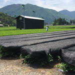 かぶせ茶カフェ - 