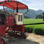 かぶせ茶カフェ - 