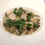 The Centurion Lounge - 