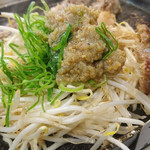 ホルモン千葉 - コク塩(5種)②
      もやしの上にはたっぷりニンニクだれ